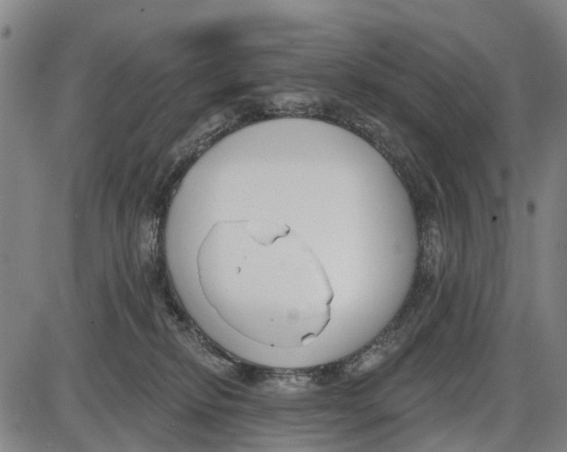 X0000085000278200703261136