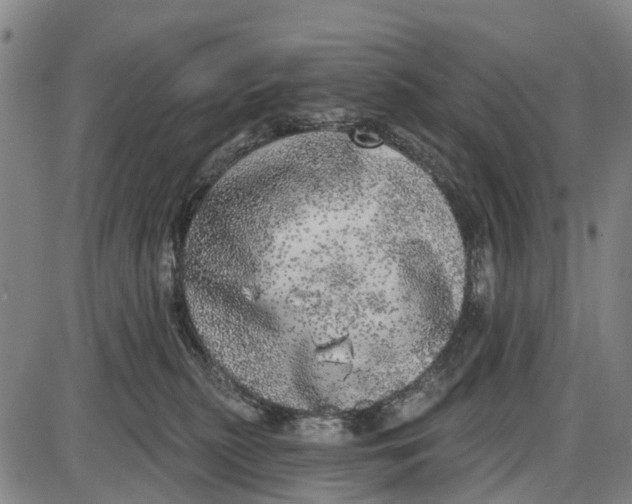 X0000085000279200703261137