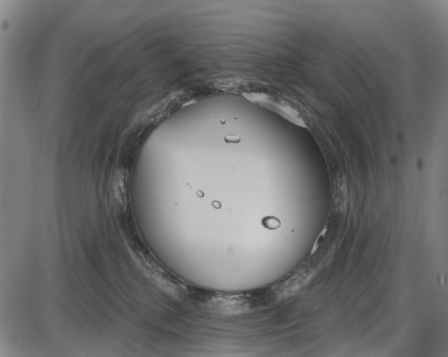 X0000085000280200703261137