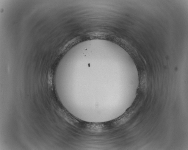 X0000085000282200703261137