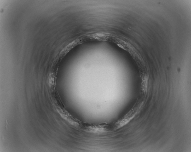 X0000085000284200703261137