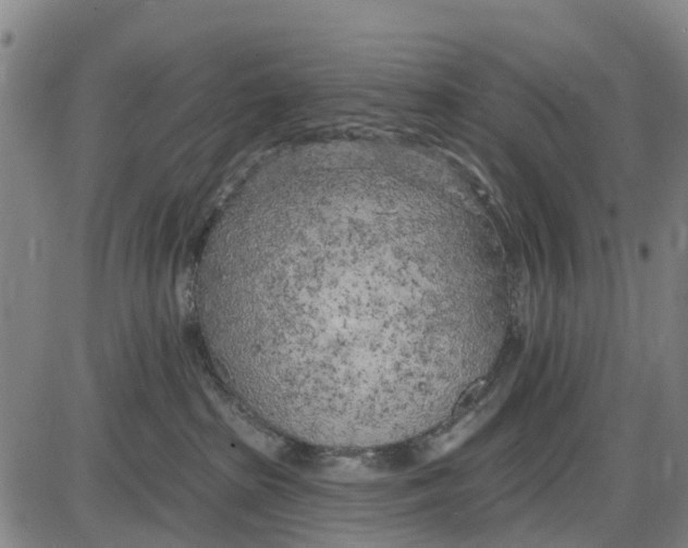 X0000085000285200703261137