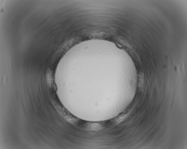 X0000085000287200703261137