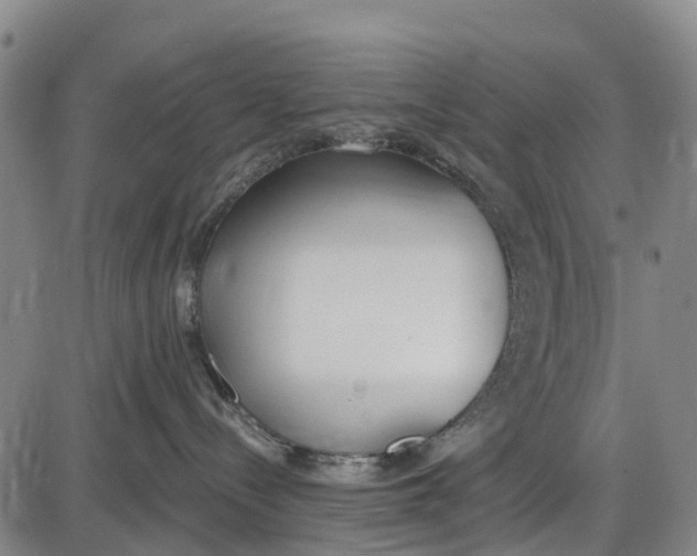 X0000085000288200703261137