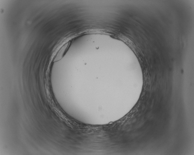 X0000085000289200703261136