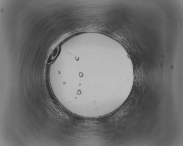 X0000085000292200703261136