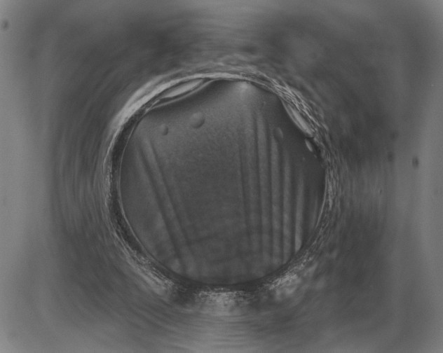 X0000085000295200703261136