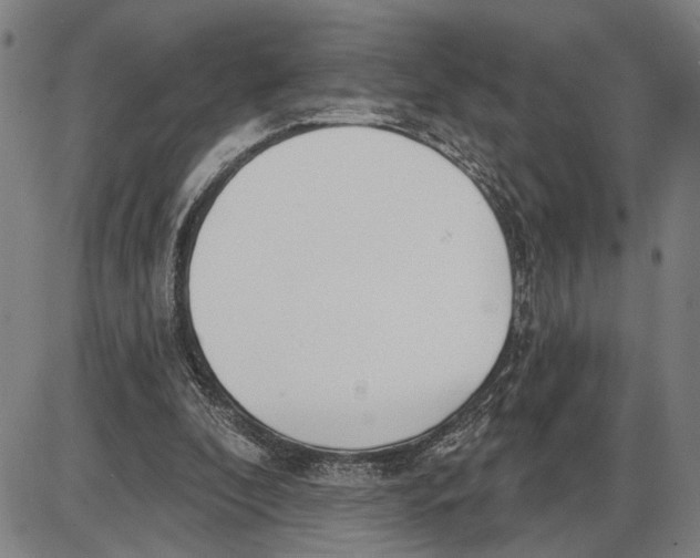 X0000085000296200703261136