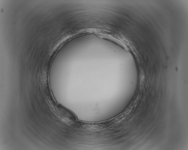 X0000085000297200703261136