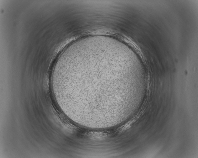 X0000085000298200703261136