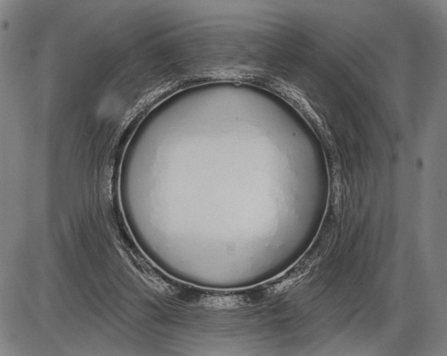 X0000085000299200703261136