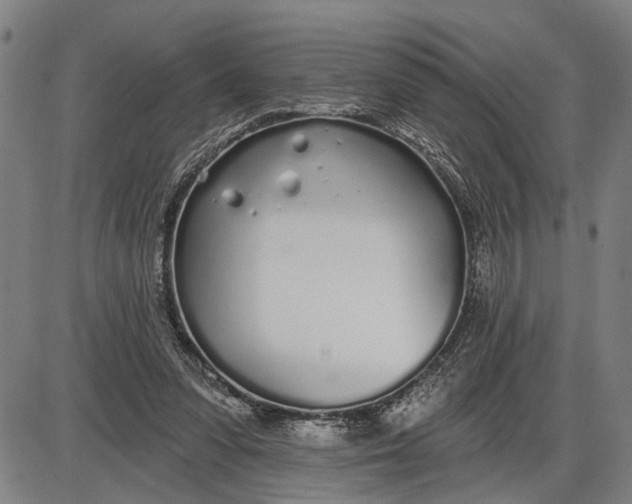 X0000085000303200703261136