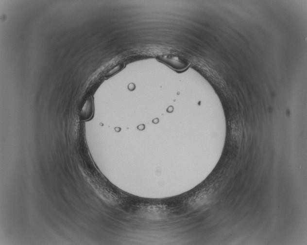 X0000085000304200703261136