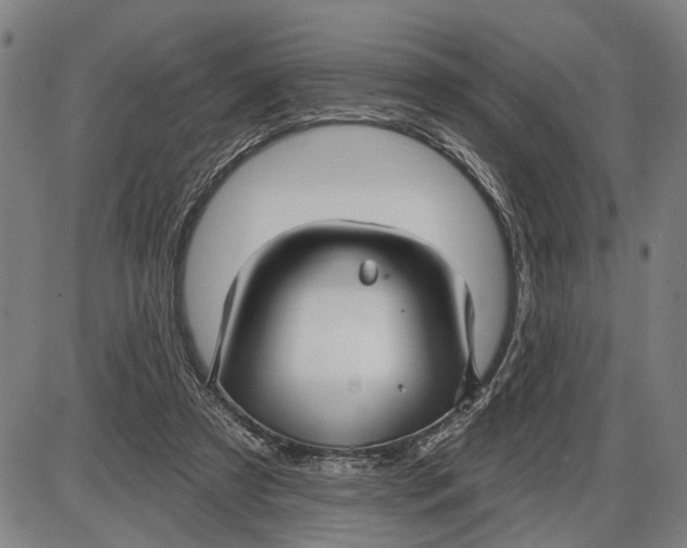 X0000085000305200703261136