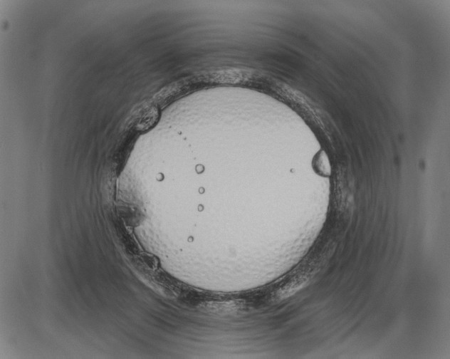 X0000085000307200703261136