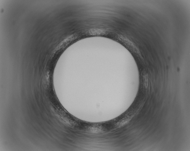 X0000085000308200703261136