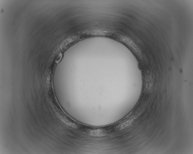 X0000085000309200703261136