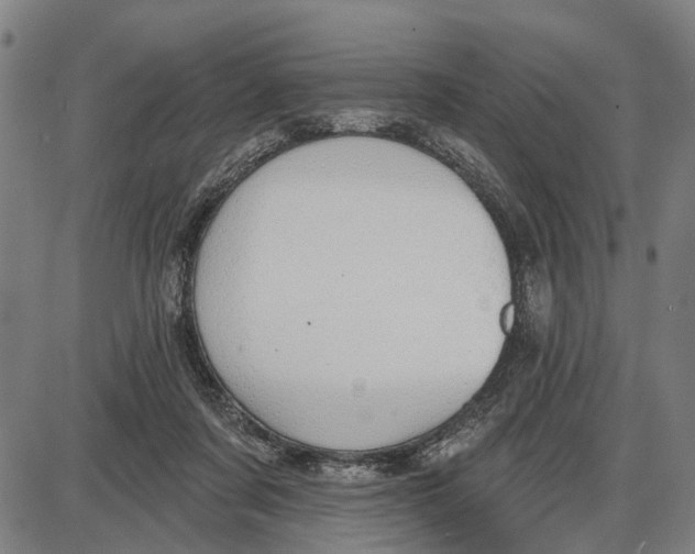 X0000085000311200703261135