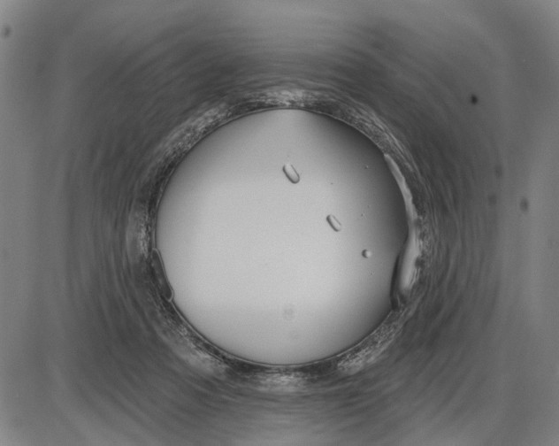 X0000085000313200703261135