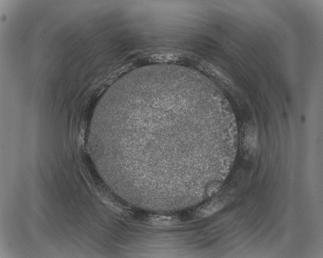 X0000085000315200703261135