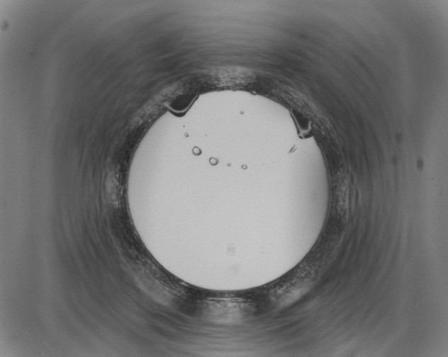 X0000085000316200703261135