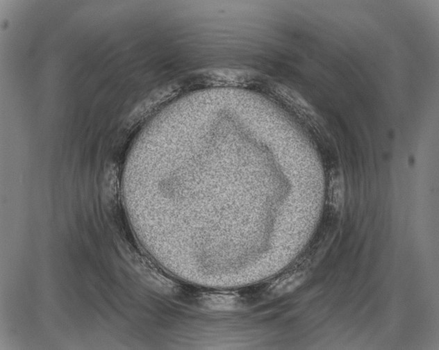 X0000085000318200703261135