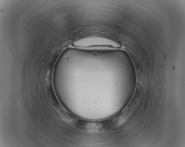 X0000085000319200703261135