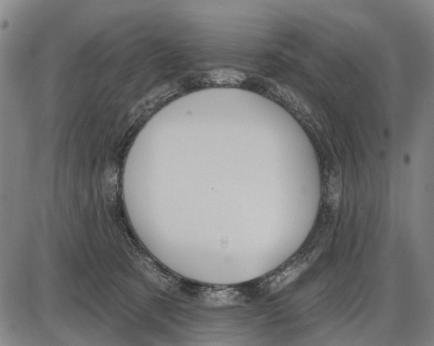 X0000085000321200703261135