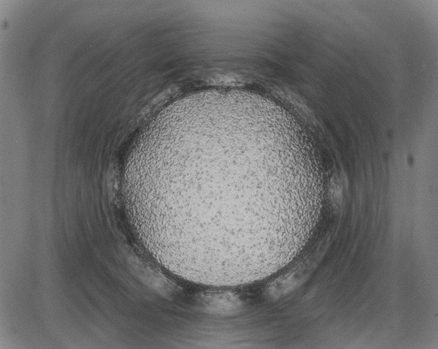 X0000085000322200703261135