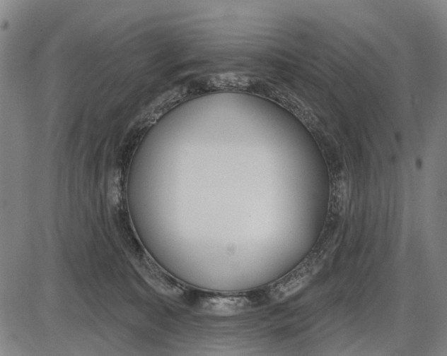 X0000085000323200703261135