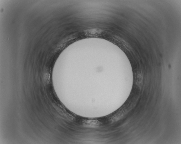 X0000085000324200703261135