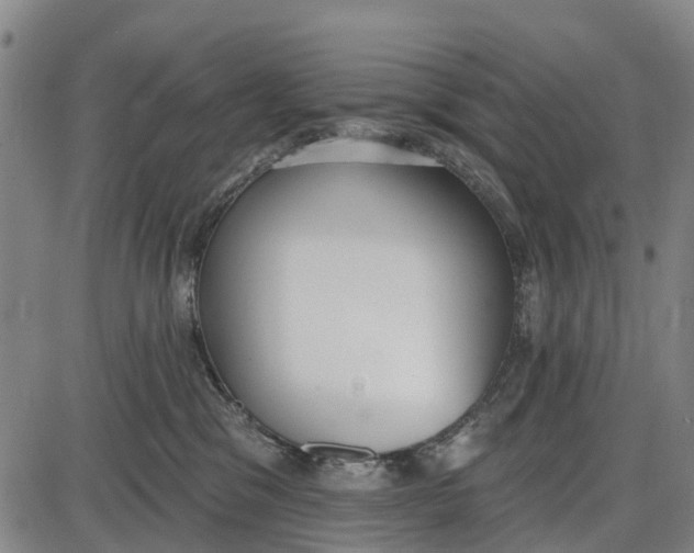 X0000085000329200703261135