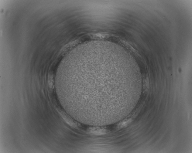 X0000085000331200703261135