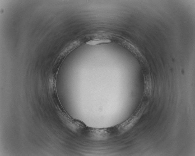 X0000085000333200703261135