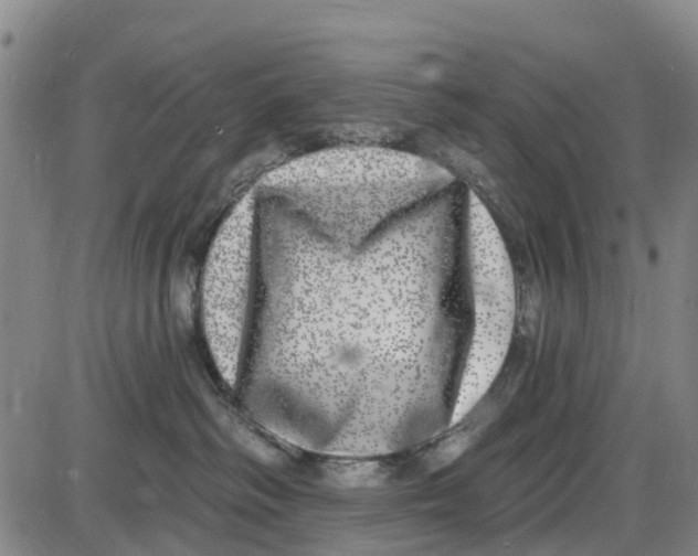 X0000085000334200703261135