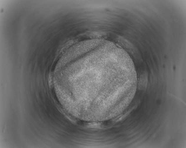 X0000085000335200703261135