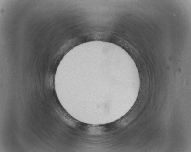 X0000085000336200703261135