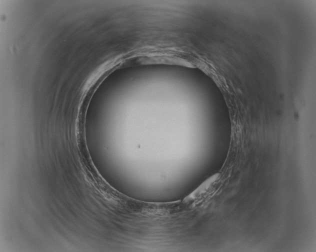 X0000085000340200703261134