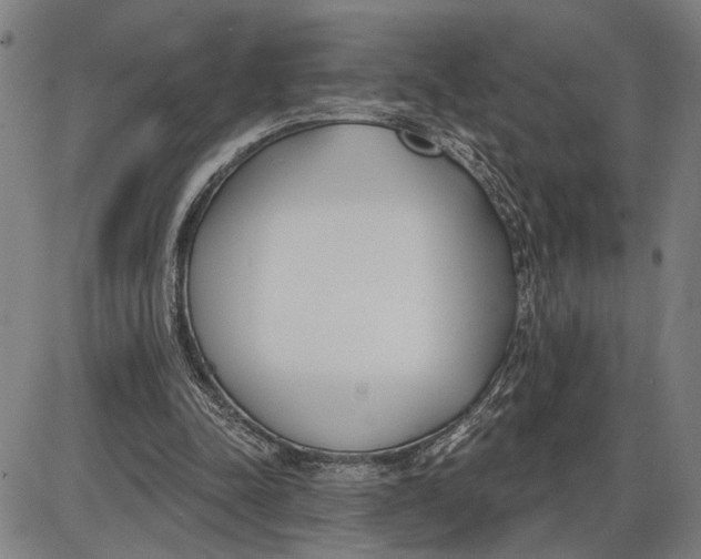 X0000085000342200703261134