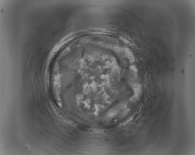 X0000085000343200703261134