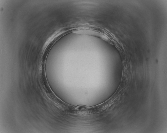 X0000085000344200703261134