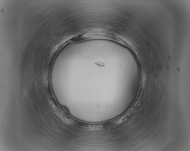 X0000085000345200703261134