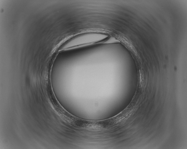 X0000085000348200703261134