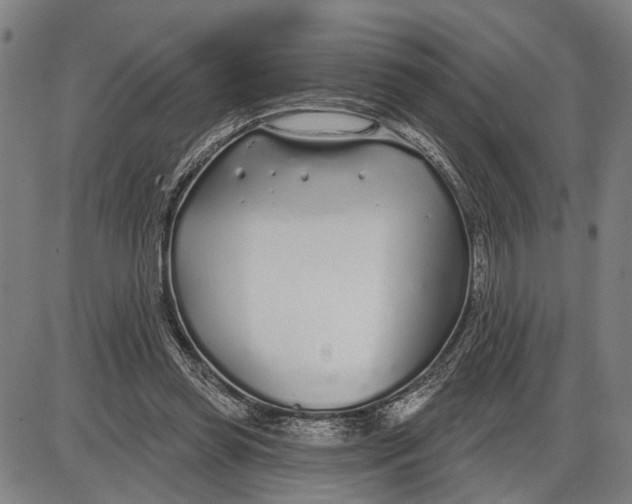 X0000085000349200703261134