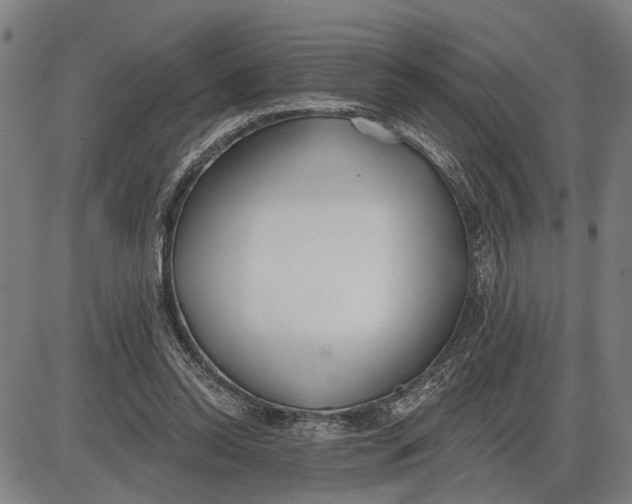 X0000085000350200703261134