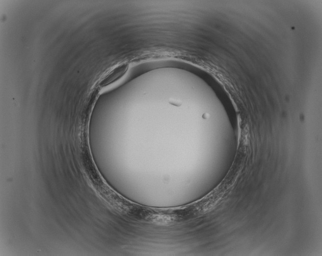 X0000085000352200703261135