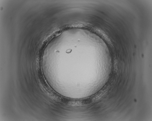 X0000085000354200703261135