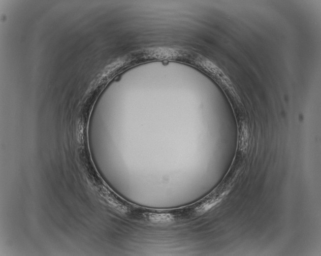 X0000085000355200703261135