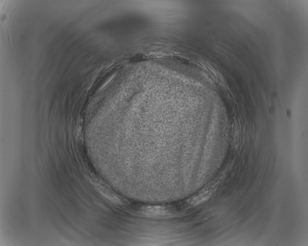 X0000085000361200703261135