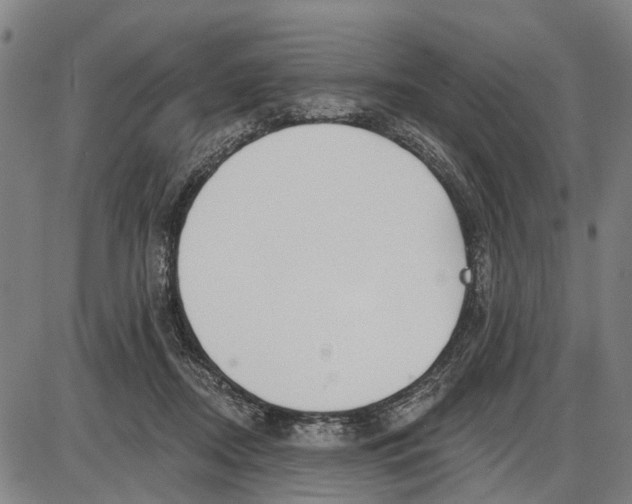 X0000085000362200703261135